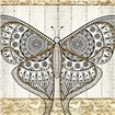 Damask Butterfly 2 - Cuadrostock