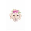 Petunia Pup - Cuadrostock