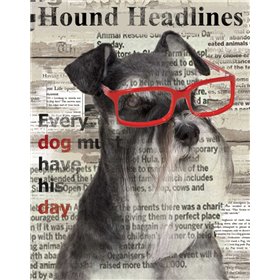 Hound Headline - Cuadrostock