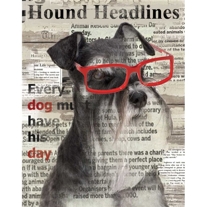 Hound Headline - Cuadrostock