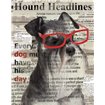 Hound Headline - Cuadrostock