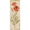 Poppy Panel on White Vintage - Cuadrostock