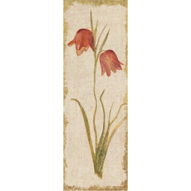 Red Tulip Panel on White Vintage - Cuadrostock
