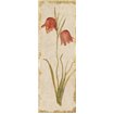 Red Tulip Panel on White Vintage - Cuadrostock