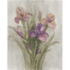Purple Iris Garden on Grey - Cuadrostock