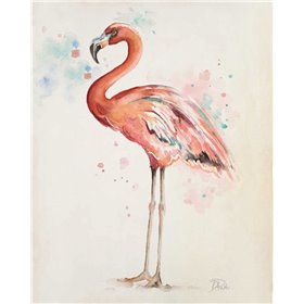 Flamingo I - Cuadrostock