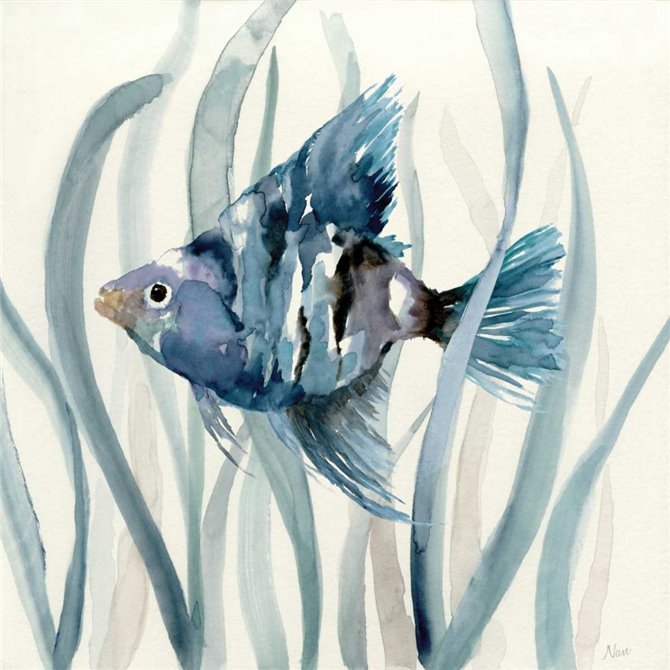 Fish in Seagrass II - Cuadrostock