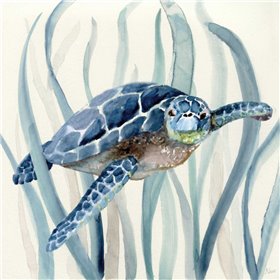 Turtle in Seagrass I - Cuadrostock
