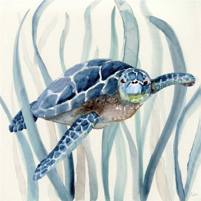 Turtle in Seagrass I - Cuadrostock