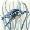 Turtle in Seagrass I - Cuadrostock