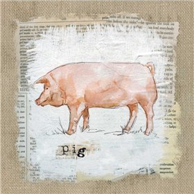 Burlap Pig - Cuadrostock