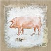 Burlap Pig - Cuadrostock