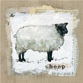 Burlap Sheep - Cuadrostock