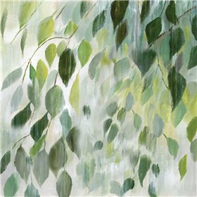 Misty Leaves - Cuadrostock