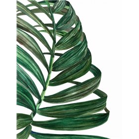 Tropical Breeze Palm 1 - Cuadrostock