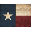 Texas Flag - Cuadrostock