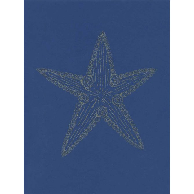 Glowing Indigo Starfish - Cuadrostock