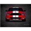 Ford Shelby GT500 - Cuadrostock