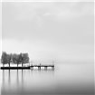 Digalekis - Pier with Trees II - Cuadrostock