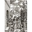 Life Of The Virgin 8 - Cuadrostock