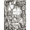 St Jerome In The Cavern - Cuadrostock