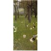 After The Rain 1899 - Cuadrostock