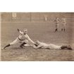Arthur Irwin And Tommy Mccarthy, Philadelphia Quakers - Cuadrostock
