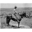 A Texas cowboy, 1907 - Cuadrostock