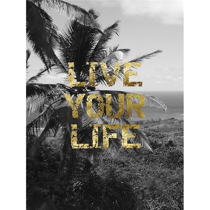Live Your Life - Cuadrostock