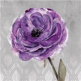 Floral Inspired Plum1 - Cuadrostock