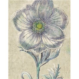 Belle Fleur II Crop Linen - Cuadrostock