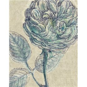 Belle Fleur III Crop Linen - Cuadrostock