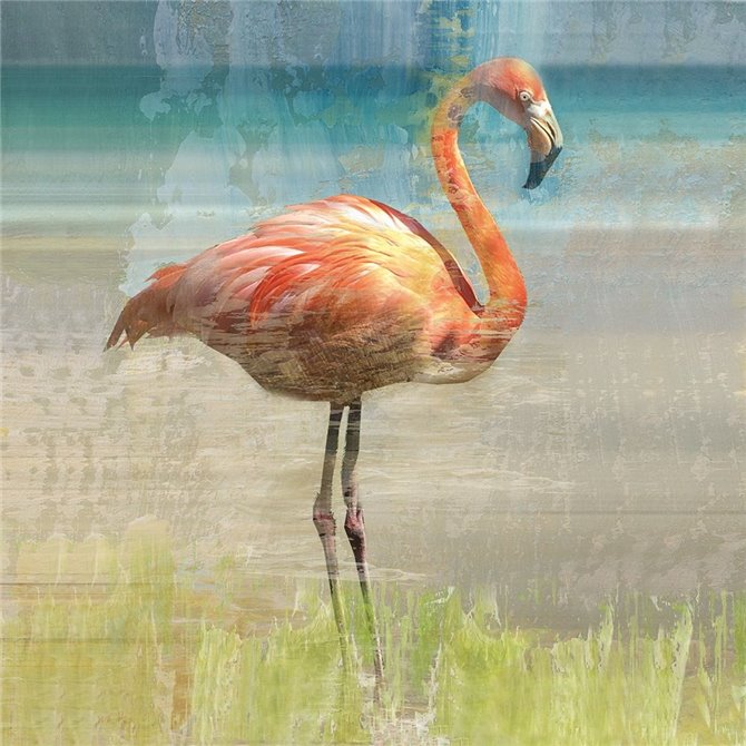 Flamingo Fancy I - Cuadrostock