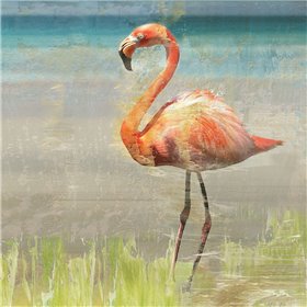 Flamingo Fancy II - Cuadrostock