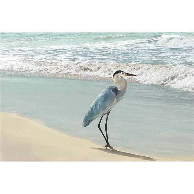 Beach Set Heron - Cuadrostock