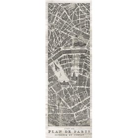 Plan de Paris Panel in Wood - Cuadrostock
