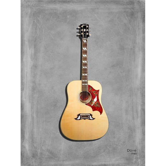 Gibson Dove 1960 - Cuadrostock