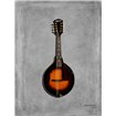 Gibson Mandolin 1943 - Cuadrostock