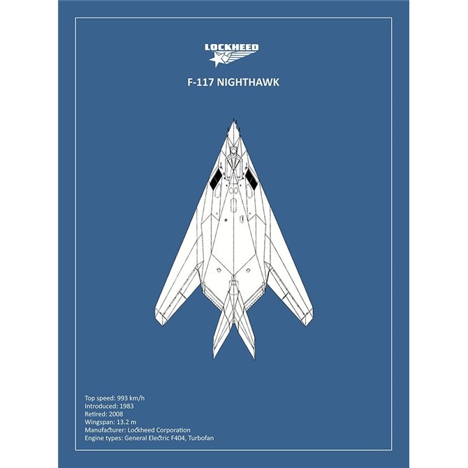 BP Lockheed F22 Raptor  - Cuadrostock