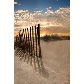 Dune Fence at Sunrise - Cuadrostock