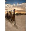 Dune Fence at Sunrise - Cuadrostock