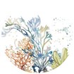 Under the Sea Plants Circle - Cuadrostock