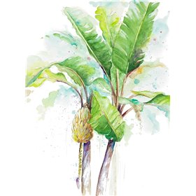 Cuadro para dormitorio - Watercolor Banana Plantain - Cuadrostock