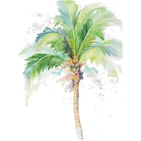Watercolor Coconut Palm - Cuadrostock