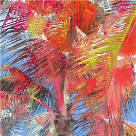 Bright Palms - Cuadrostock