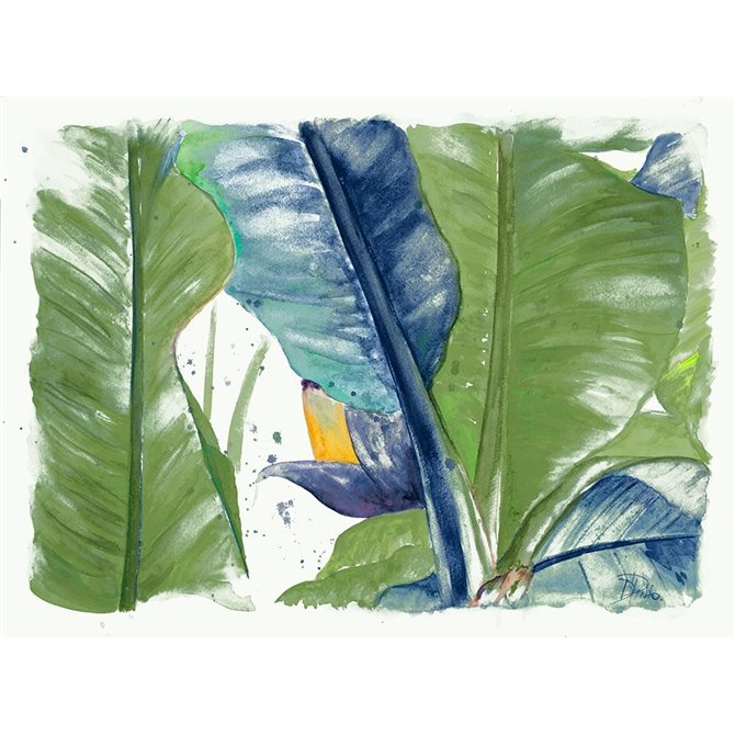 Fresh Banana Plantain Vibrant - Cuadrostock