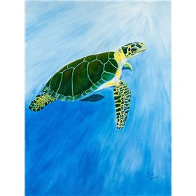 Green Turtle - Cuadrostock