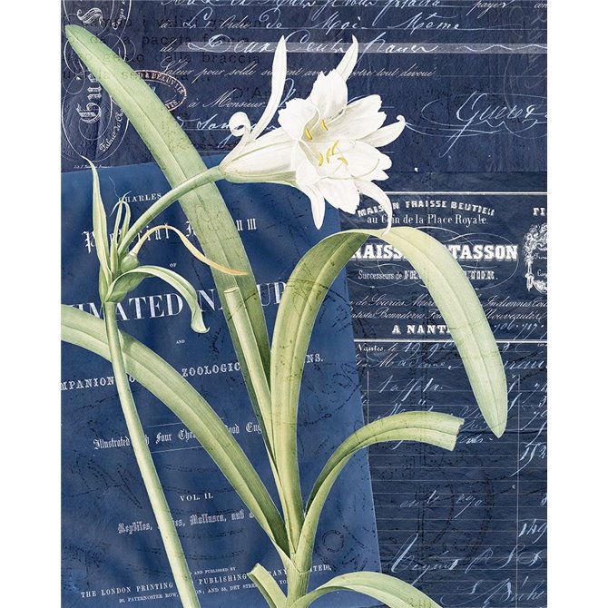 Postcard Vintage Floral 1 - Cuadrostock