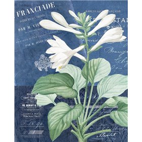 Postcard Vintage Floral 2 - Cuadrostock