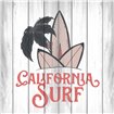 California Surf 2 - Cuadrostock